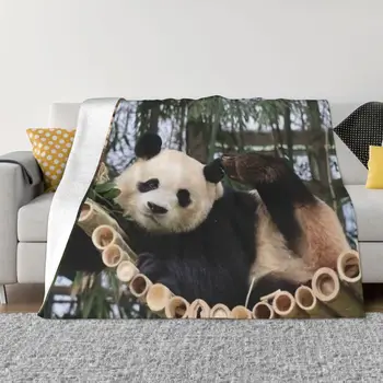 Одеяло Fubao Aibao Panda Fu Bao, Теплое, уютное, всесезонное, комфортное Одеяло для дивана в спальне